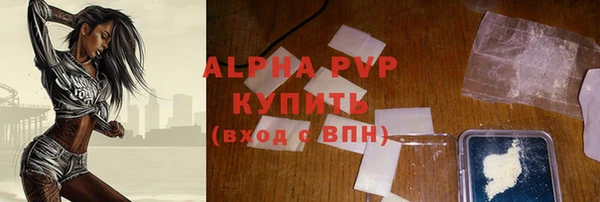 spice Дмитриев