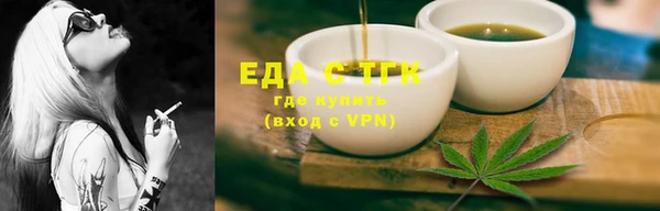 spice Дмитриев