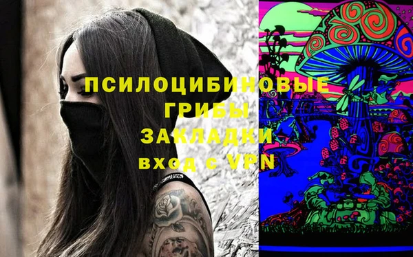 spice Дмитриев