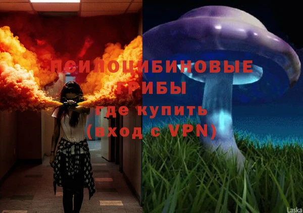 амф Дмитровск