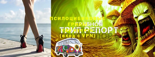 spice Дмитриев