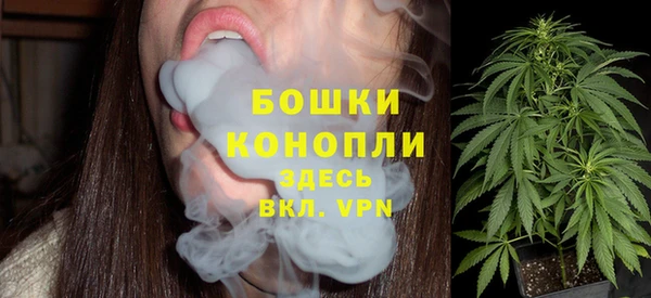 spice Дмитриев