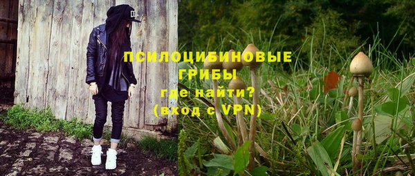 трава Елабуга