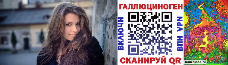 Купить где  Остров  Галлюциногенные грибы Magic Shrooms 